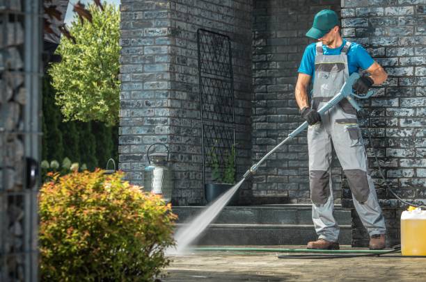 Best Gutter Cleaning  in South Chicago Heights, IL