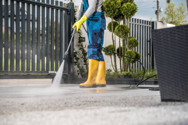 Best Driveway Pressure Washing  in South Chicago Heights, IL